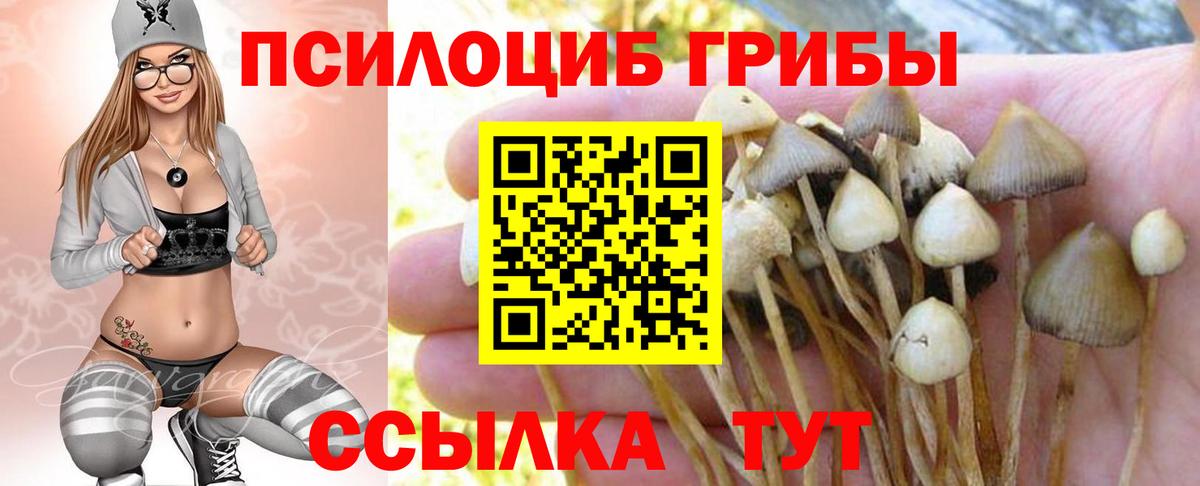 Псилоцибиновые грибы Psilocybe  Вход с VPN  Усолье-Сибирское 